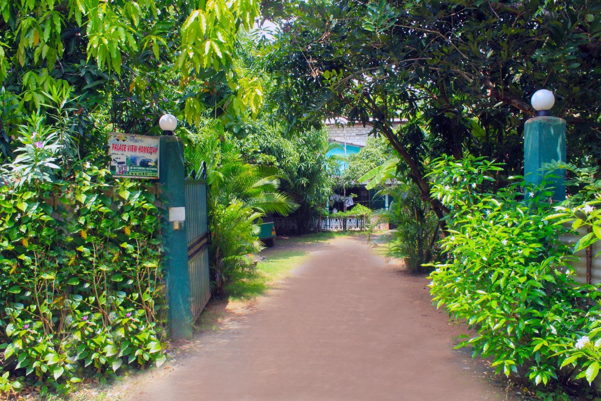 Sigiriya Palace View Exteriör bild